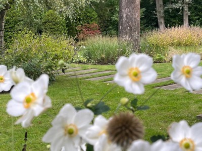 Najaarsbloeiers Najaarsbloeiers