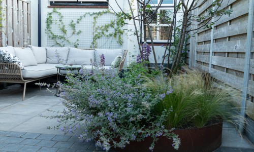 Levendige tuin Levendige tuin